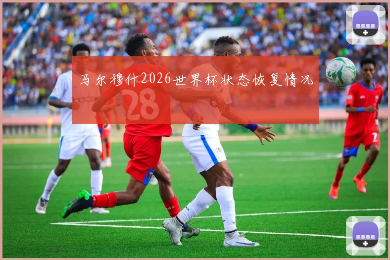 马尔穆什2026世界杯状态恢复情况