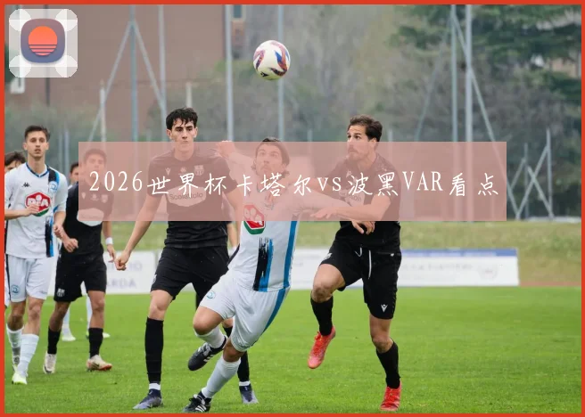 2026世界杯卡塔尔vs波黑VAR看点