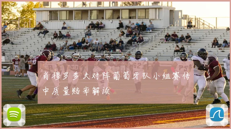 肖穆罗多夫对阵葡萄牙队小组赛传中质量赔率解读